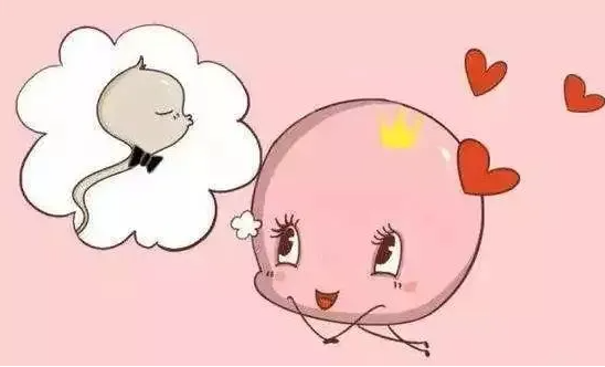 长沙市妇幼保健院可以借卵做供卵试管吗插图2