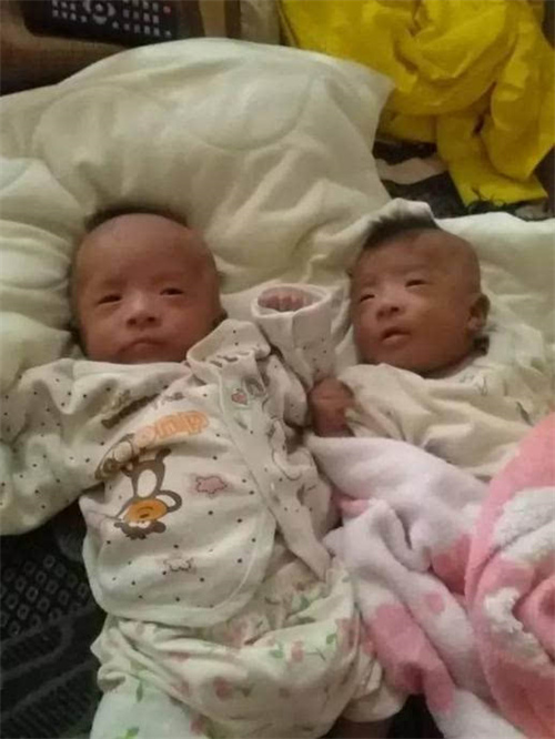 t卵p怀三代试管可以在那里做？插图2