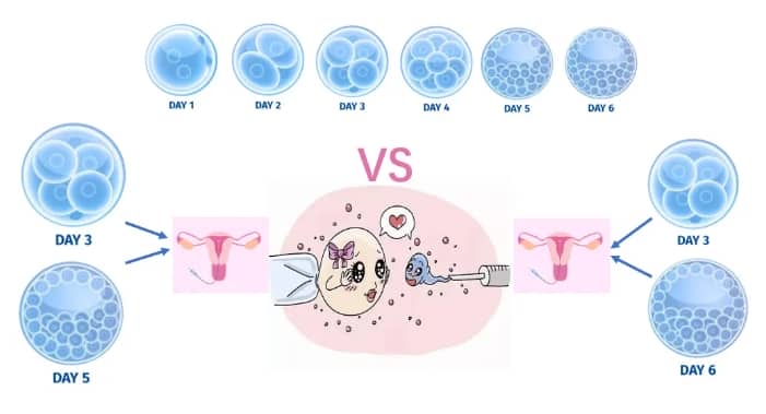 冷冻精子和新鲜精子怎么选？附冷冻精子一年费用