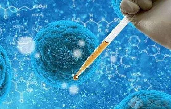 单角子宫怀孕的风险和应对方法