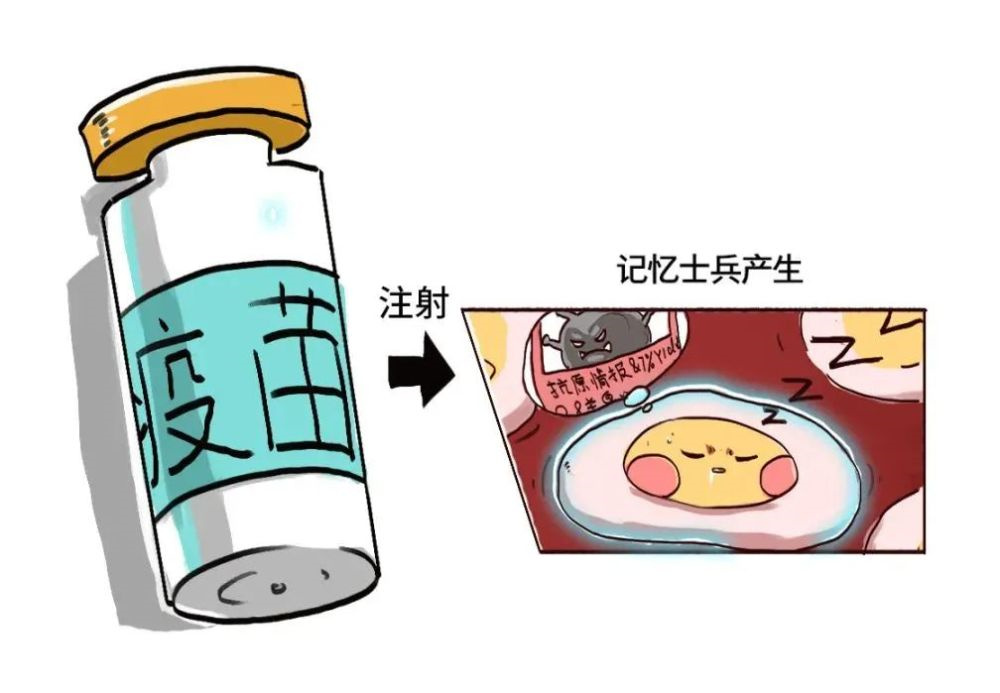 2024五联疫苗在太原接种一针多少钱？太原五联疫苗哪里有接种点插图1