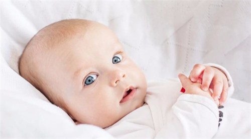 什么样的男人容易生男孩?孕前多吃这四种食物容易生男孩插图1 undefined