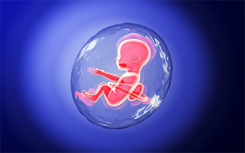 2024福州大排畸检查费用多少？福州做大排畸检查哪里好插图1