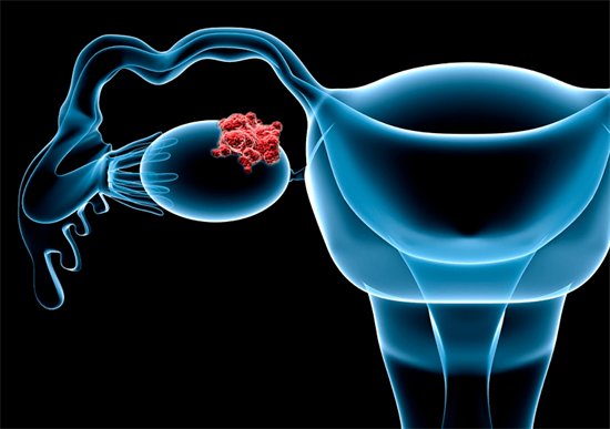 2024上海宫腔镜检查手术要多少钱？哪里做宫腔镜检查手术好插图1