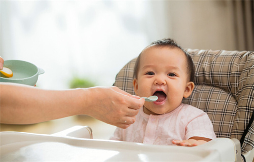 老母鸡汤催奶效果好不好？产妇催奶老母鸡怎样炖