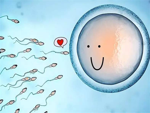 无精症的治疗方法对比：手术、药物与辅助生殖技术