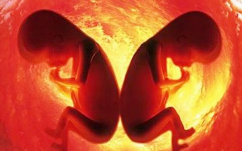 孕期禁忌，是真是假大揭秘！