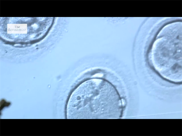 2024长沙大排畸检查费用多少？长沙做大排畸检查哪里好插图1