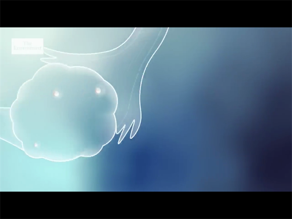 2024广州宫腔镜检查手术要多少钱？哪里做宫腔镜检查手术好