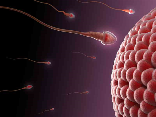 精子活力高更容易生男孩吗？附精子质量好生男孩的几率是多少