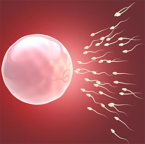 从b超怎么看生男生女？生男生女可以调理吗？