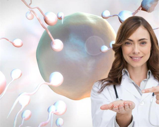 男性科学备孕要怎么做？男性备孕有必要进行食补