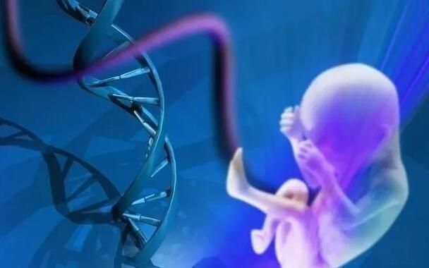 孕妇梦见槐花有什么寓意?生男生女能通过饮食调理?插图1 undefined