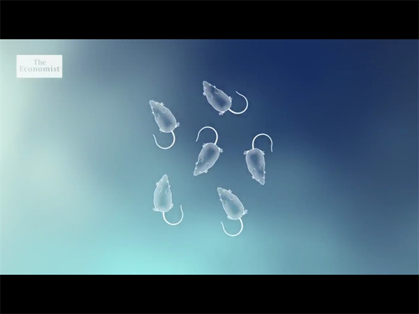 2024重庆宫腔镜检查手术要多少钱？哪里做宫腔镜检查手术好插图1