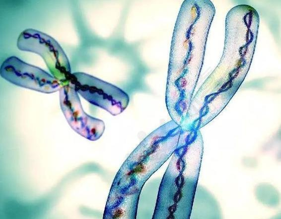 如何用科学来确定出生的是男孩还是女孩？生男生女清宫图准不准确？