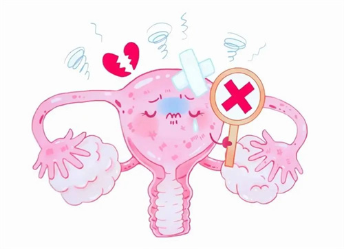 四维彩超能看出胎儿性别吗？附生男生女的饮食秘籍！