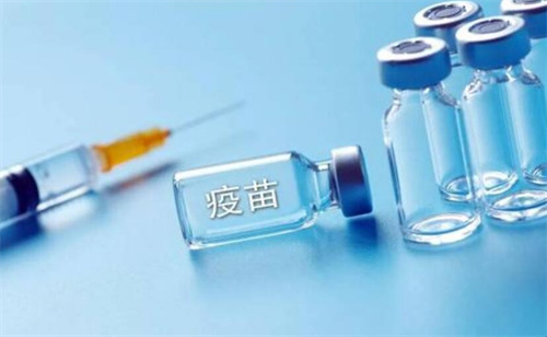 2024沈阳脊灰疫苗接种指南更新！附沈阳脊灰疫苗注射价格