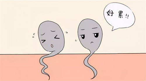 月份与生男生女有联系吗？2024年几月份容易生女宝宝插图1