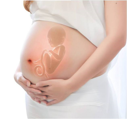 女性排卵生男孩的最佳时间段是？生儿子要在排卵前6小时同房吗