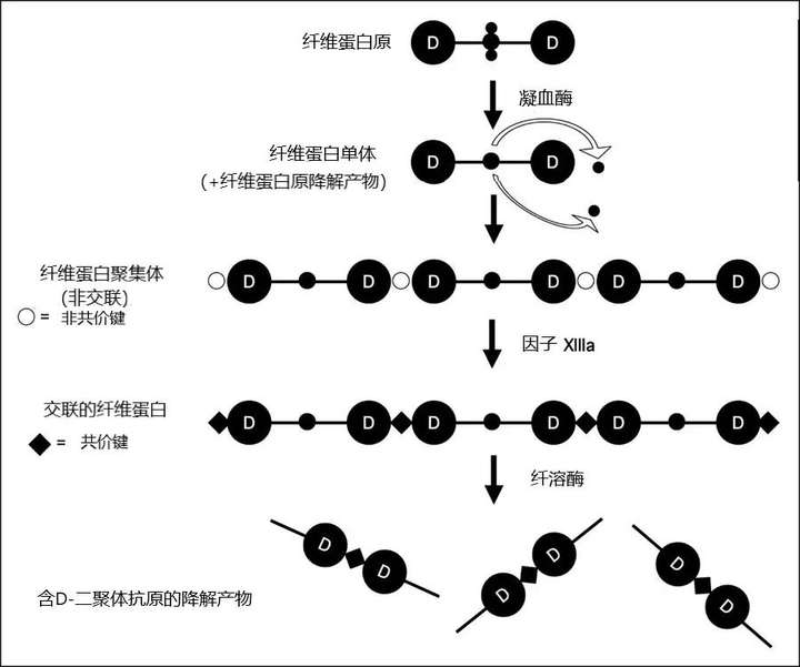 2025年北京私立试管婴儿医院选择指南，聊聊包成功的那些事
