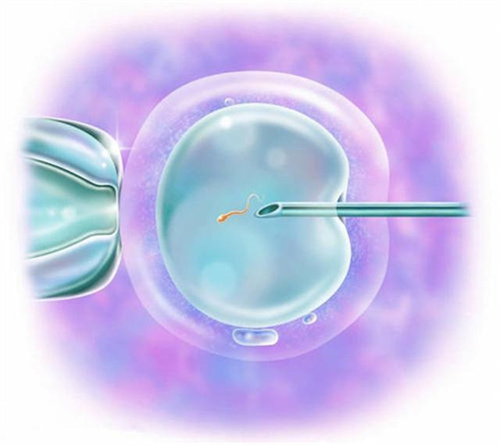 为什么后悔给孩子打腮腺炎疫苗?腮腺炎疫苗有没有必要接种插图1 undefined