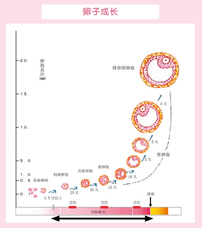 在安徽做试管婴儿要花多少钱？2025年价格会怎么变？
