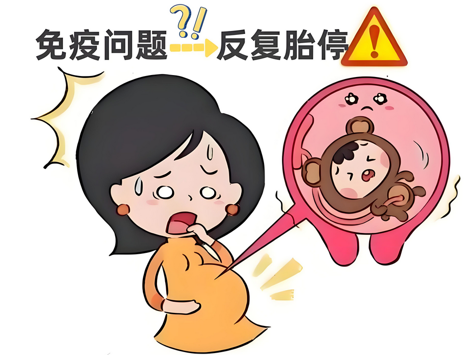 在安徽做三代试管，能要一儿一女吗