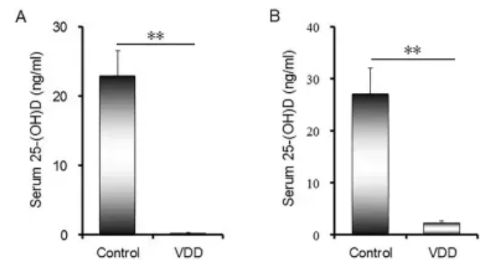 2025年安徽哪里能做三代试管生男孩？这三家医院可以看看