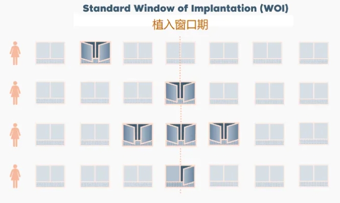 宫腔粘连怀孕了，怎么保住宝宝