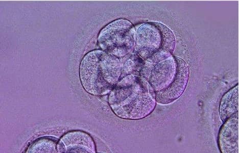 吃什么能提高精子质量