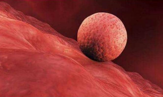 熬夜会不会影响精子质量？怎么提高精子质量