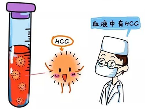 上海集爱医院能否做供卵三代试管生男孩？插图2