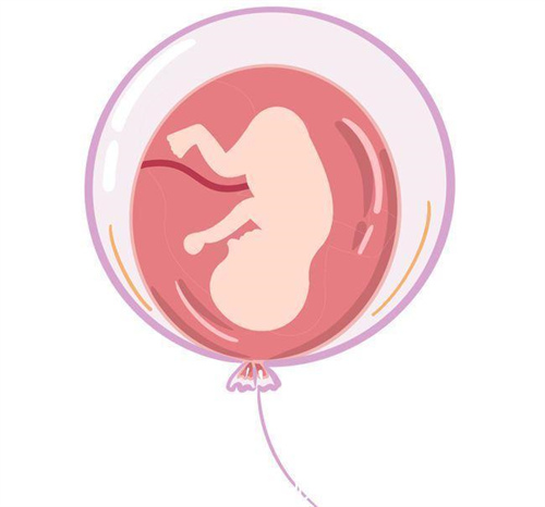 北京家恩德运医院可以做供卵试管吗 该医院的试管费用是多少？