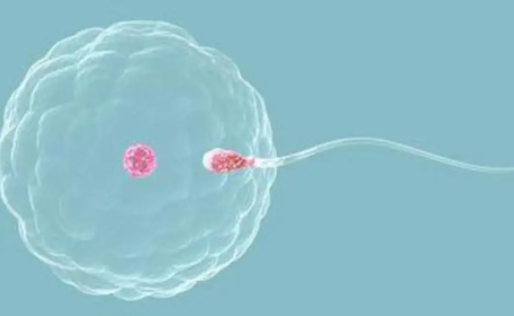 卵巢早衰必看：孕来美供卵试管成功案例与适配方案！