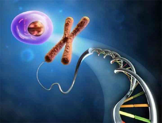 速速收藏！孕来美助孕机构供精试管婴儿流程及费用一览