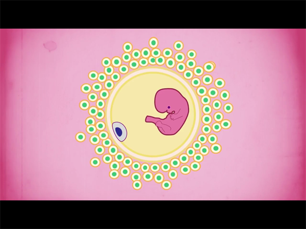 台州医院试管婴儿费用攻略！解析从检查到移植全程花费明细