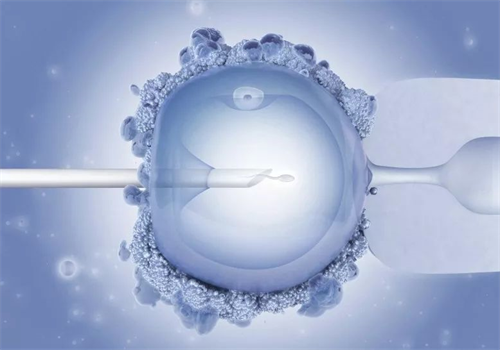 2025温州附二医试管婴儿费用清单，助你轻松规划预算！