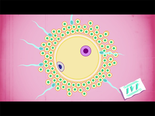 武汉KII春晖助孕机构揭秘：2025年最新试管婴儿成功率数据！