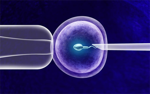 试管降调针费用一览：从几百到几千，究竟差在哪？