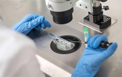 无需排队！武汉试管直营机构提供个性化促排方案，卵子利用率翻倍