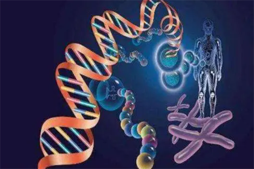 2025供卵试管婴儿费用全解析！公立医院与私立机构价格对比