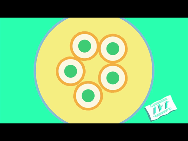 国内正规供卵试管费用标准：卫健委规定与实际收费差异！