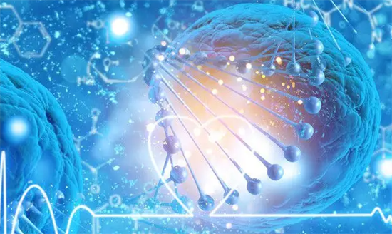 上海三代试管医院费用明细：从检查到移植全程多少钱？