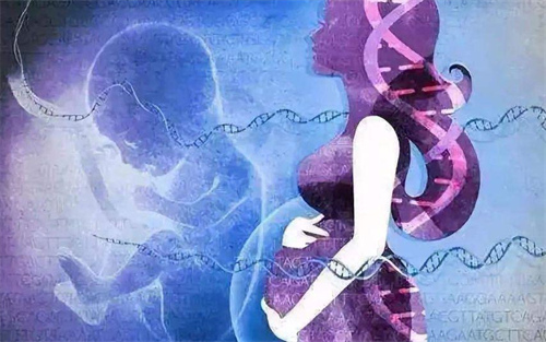 试管妈妈必读：揭秘冷冻胚胎移植全过程，从准备到验孕一次说清！