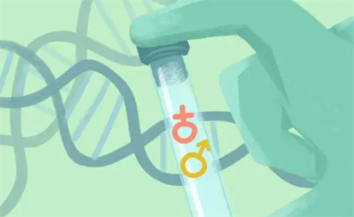 想一次抱俩？2026广州试管婴儿双胞胎费用全解析