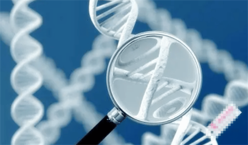 子宫腺肌症也能好孕！试管婴儿成功率提升全攻略