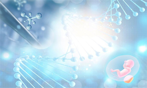 这些因素决定6BB囊胚能否成功着床！备孕必看指南
