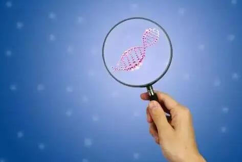 泰国试管婴儿技术好在哪？这几点优势让成功率翻倍