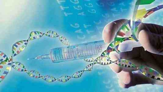 2026沈阳试管婴儿双胞胎医院推荐！专业机构与准入技术解析