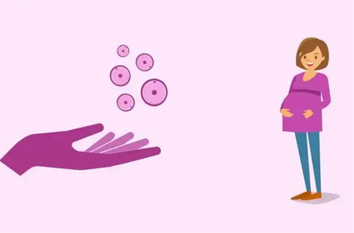 供卵者年龄越小成功率越高？25岁vs35岁供卵的真实差异